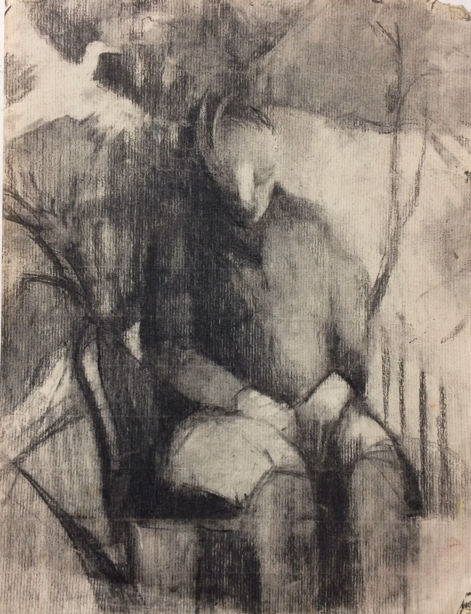 self portrait
