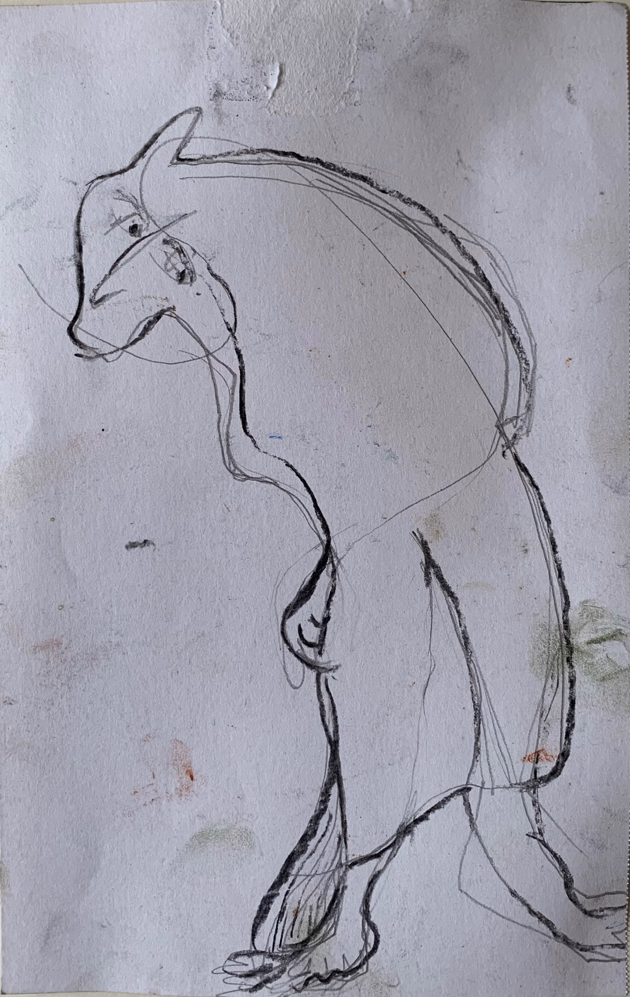 charcoal sketch on paper