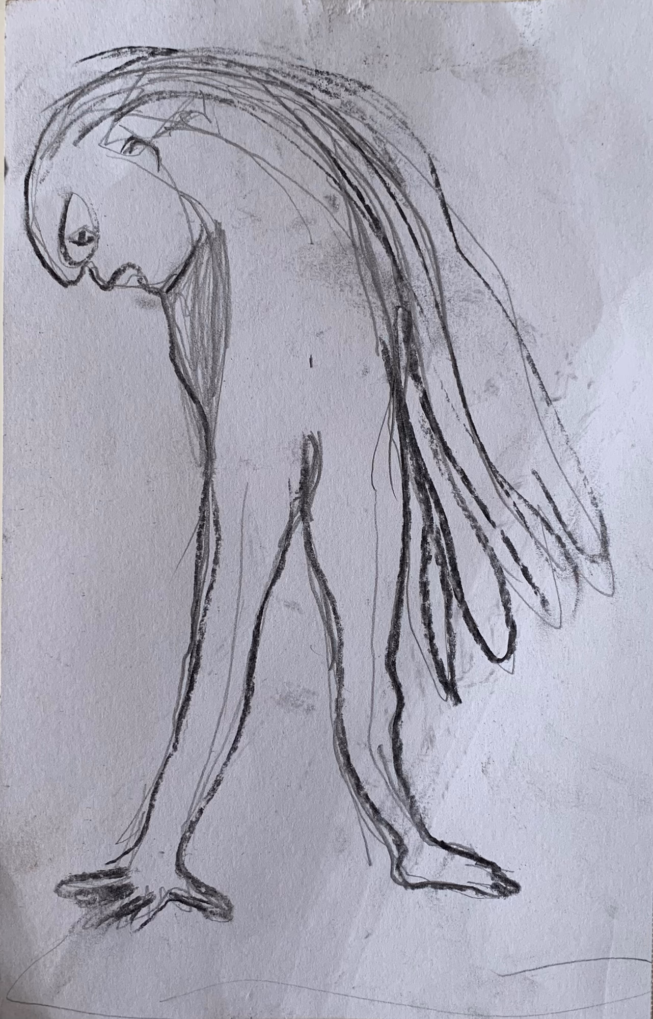 charcoal sketch on paper