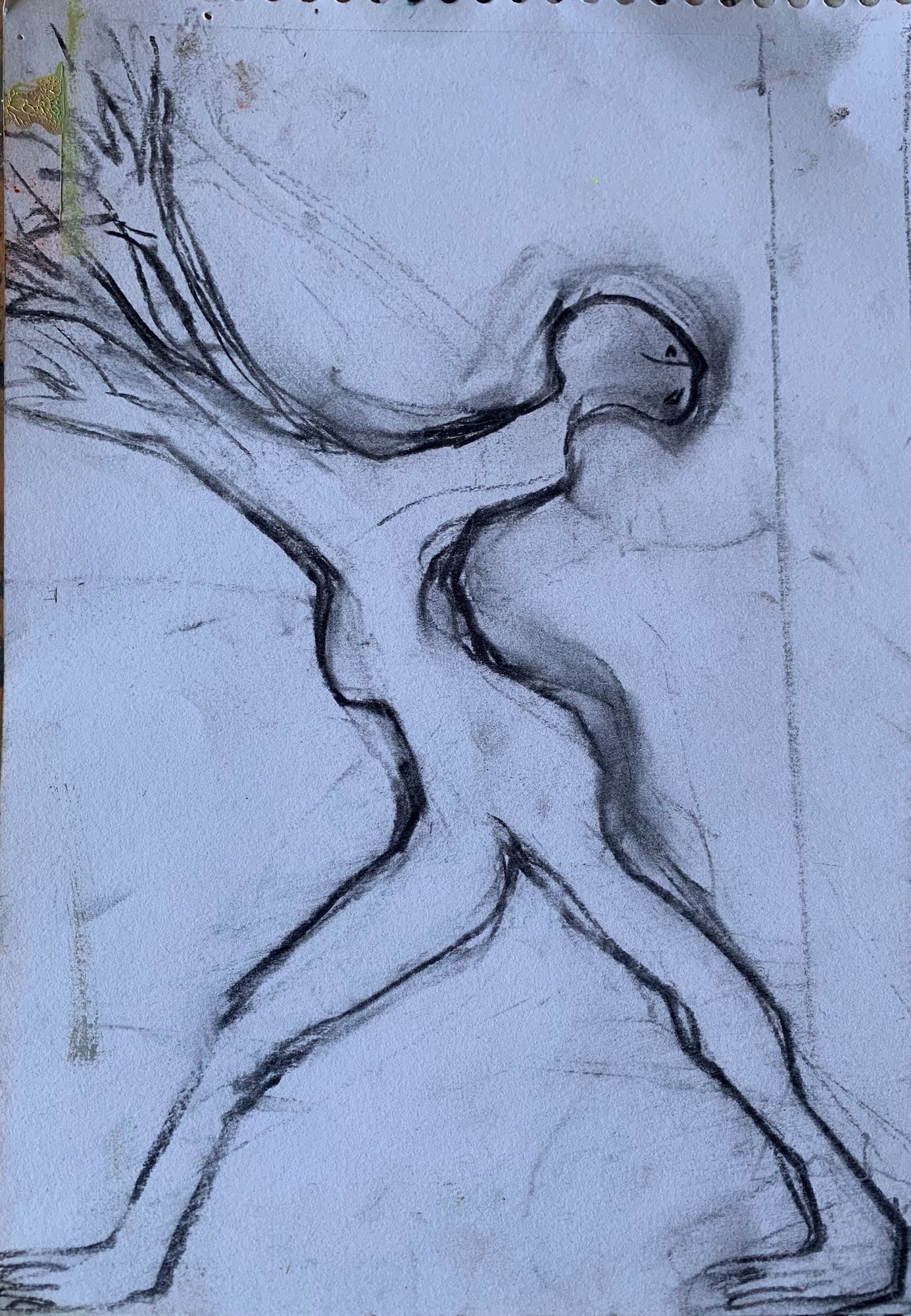 charcoal sketch on paper